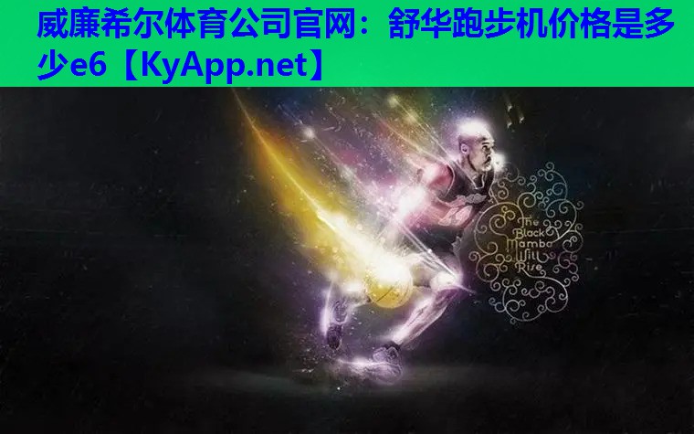 舒华跑步机价格是多少e6