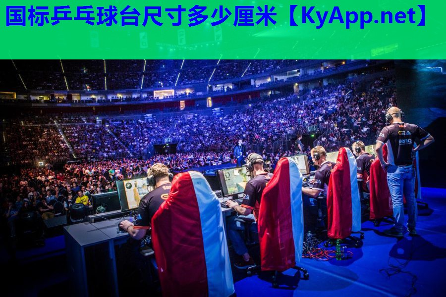 国标乒乓球台尺寸多少厘米