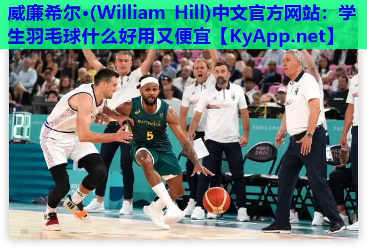 学生羽毛球什么好用又便宜