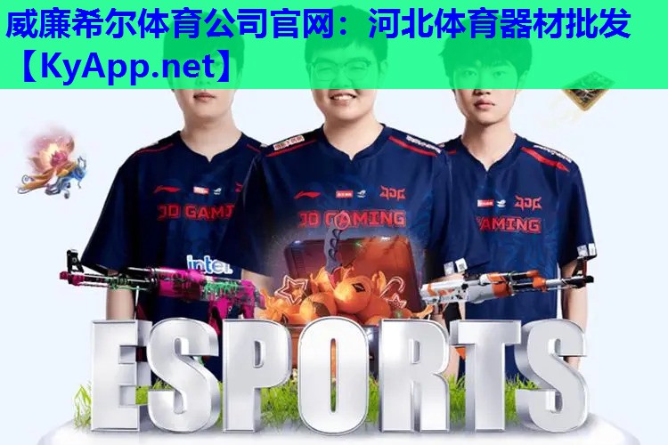 河北体育器材批发