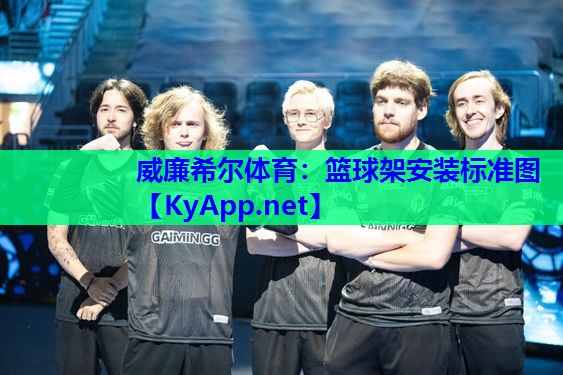 篮球架安装标准图