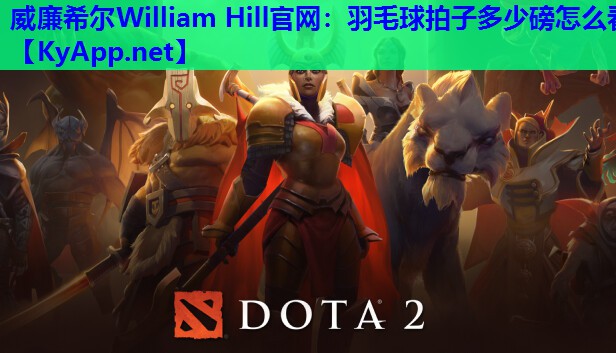 羽毛球拍子多少磅怎么看